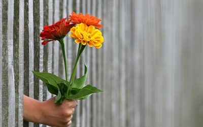 Was Blumen in Träumen für eine Bedeutung haben